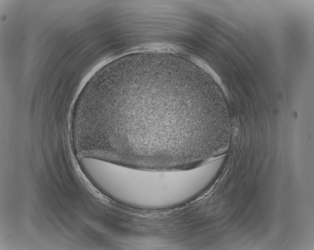 X0000083021091200702161610