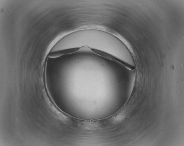 X0000083021102200702161610