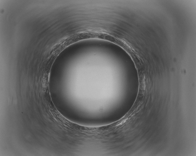 X0000083021110200702161609