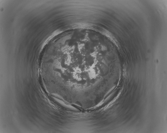 X0000083021117200702161609