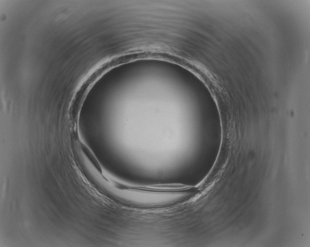 X0000083021118200702161609
