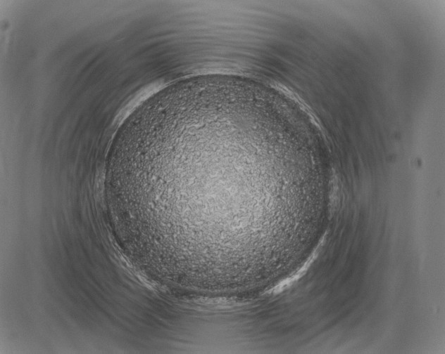 X0000083021121200702161609
