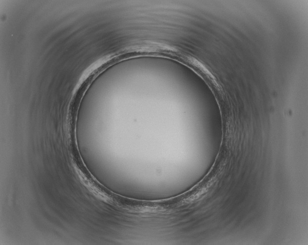X0000083021122200702161609