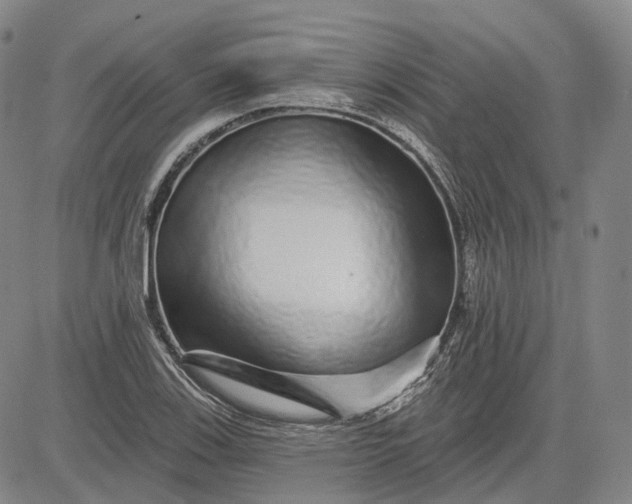 X0000083021123200702161609