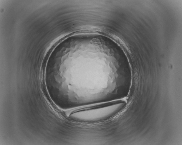 X0000083021125200702161609