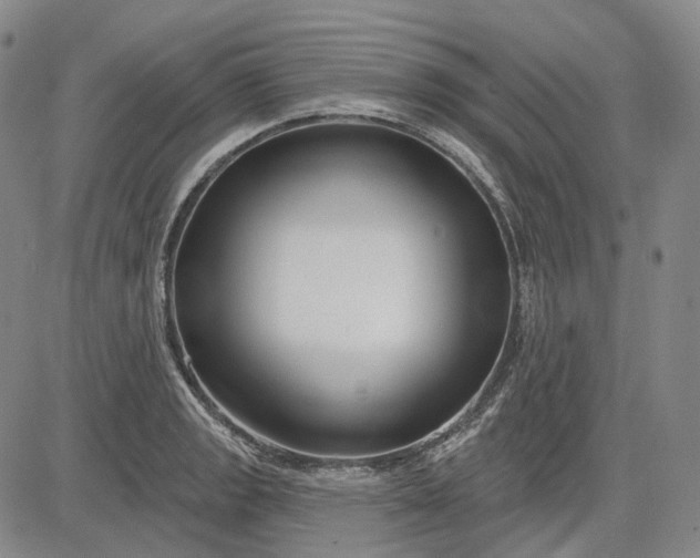 X0000083021133200702161610