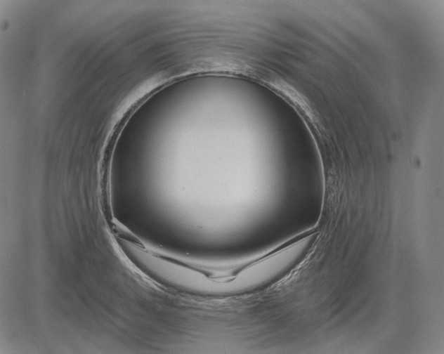X0000083021135200702161610