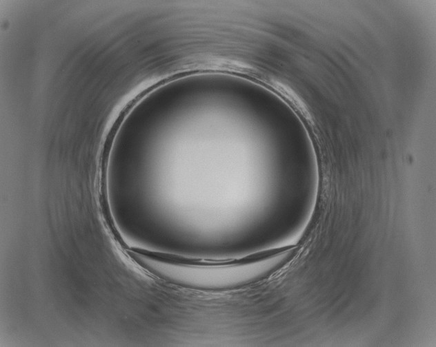 X0000083021136200702161610