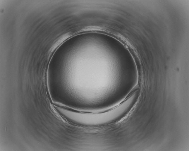 X0000083021137200702161610
