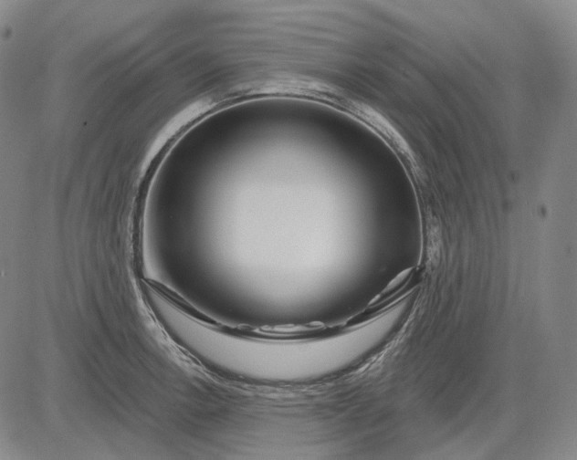 X0000083021138200702161610
