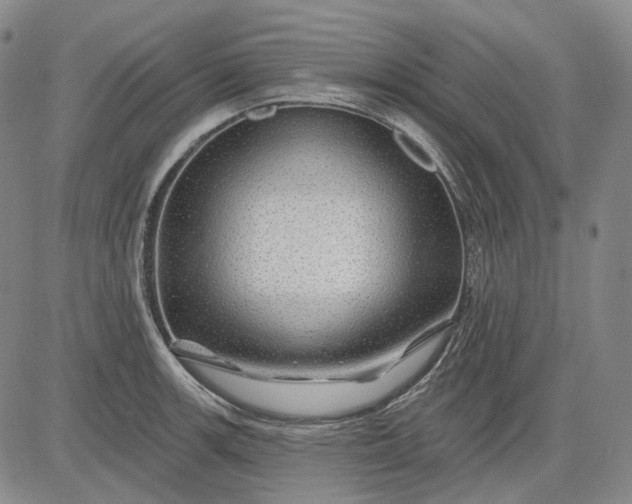 X0000083021139200702161610