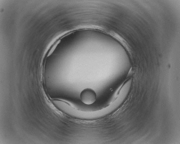 X0000083021140200702161610