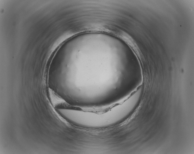 X0000083021141200702161610
