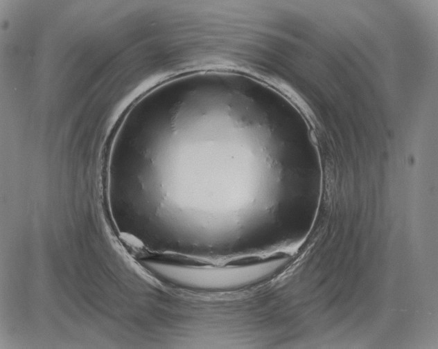 X0000083021142200702161610