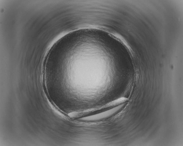 X0000083021143200702161610