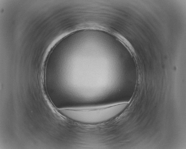 X0000083021144200702161610