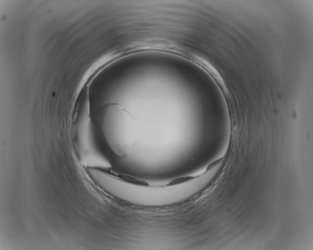 X0000083021146200702161610