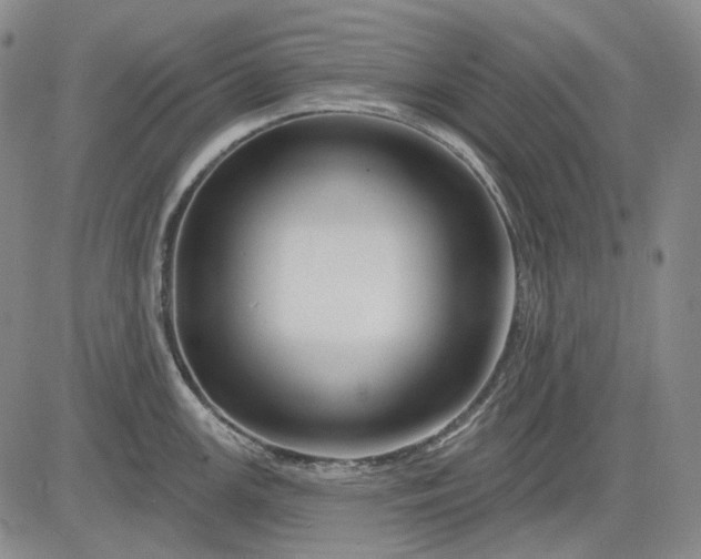 X0000083021147200702161610