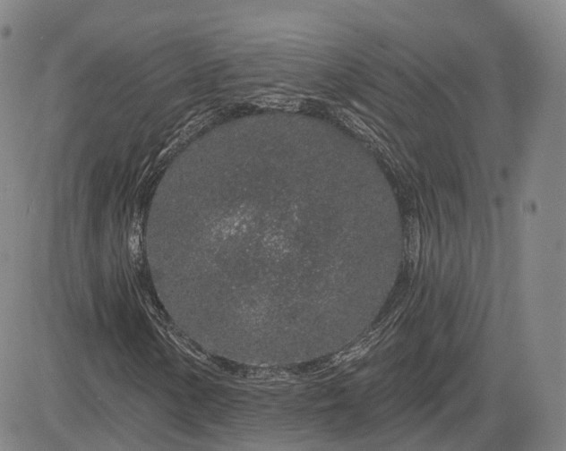 X0000083021154200702161609