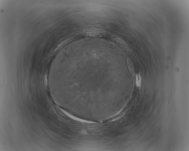 X0000083021155200702161609