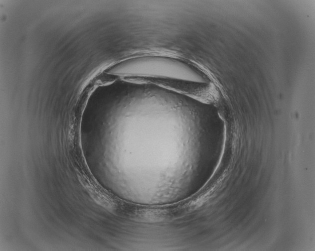 X0000083021163200702161609
