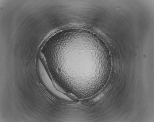 X0000083021170200702161609