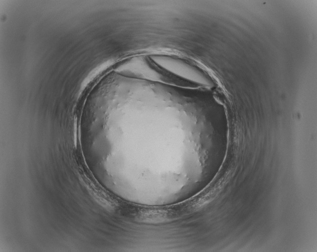 X0000083021171200702161609