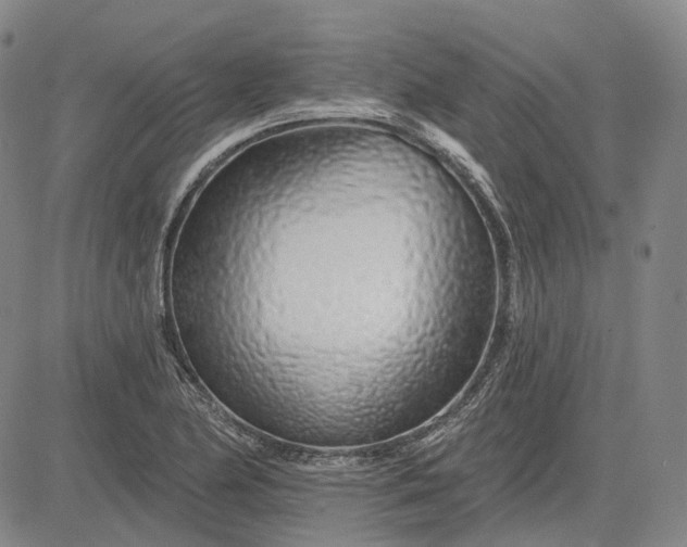 X0000083021174200702161609