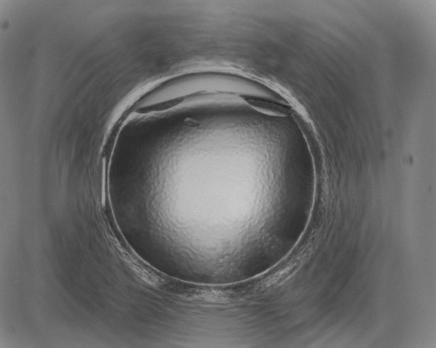 X0000083021175200702161609