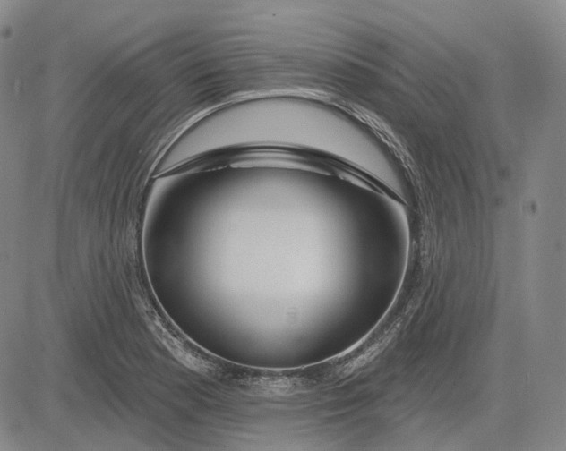 X0000083021177200702161609