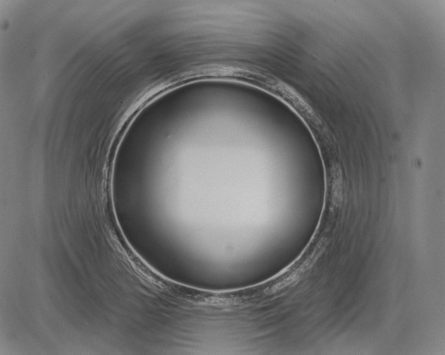 X0000083021178200702161609