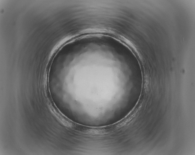 X0000083021179200702161609