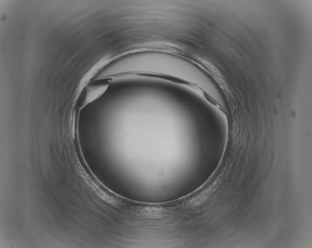 X0000083021180200702161609