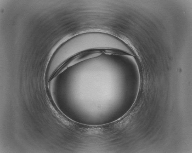 X0000083021181200702161609