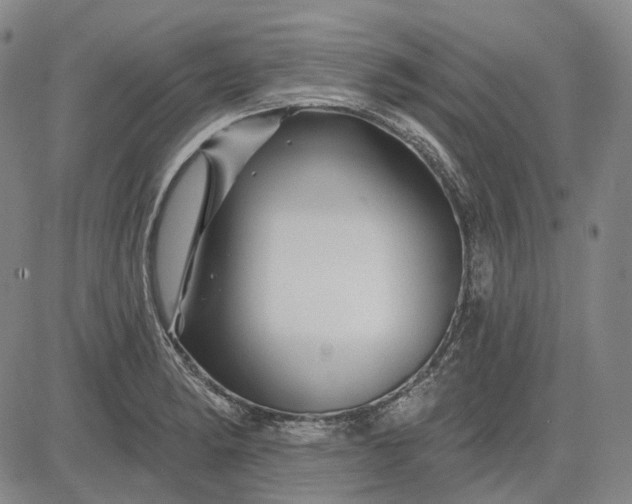 X0000083021182200702161609
