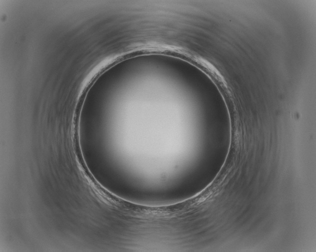 X0000083021183200702161609
