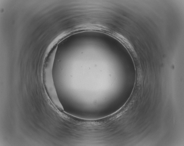 X0000083021188200702161608
