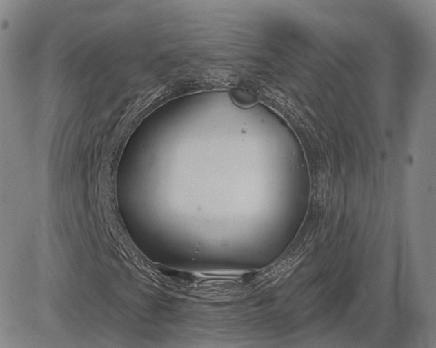 X0000083021201200702161608