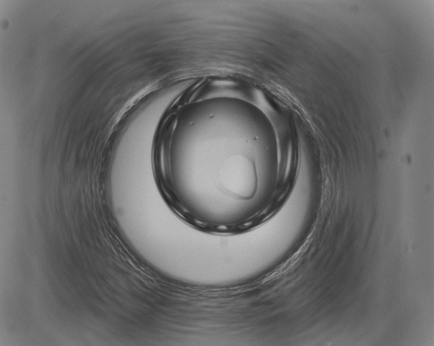 X0000083021210200702161608