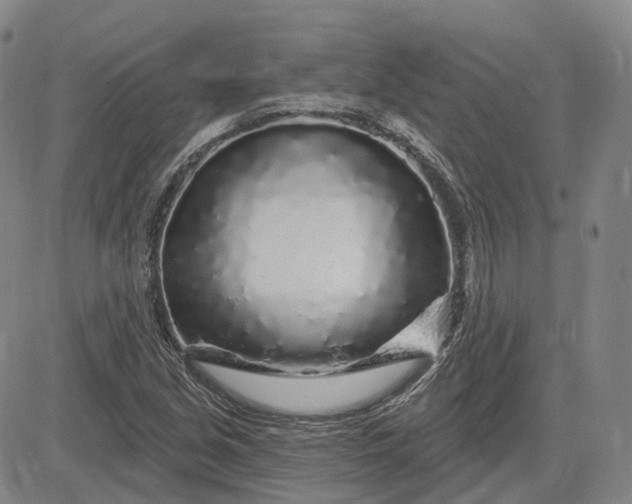 X0000083021213200702161608