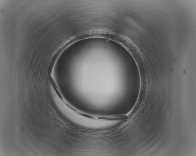 X0000083021217200702161608