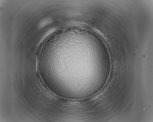 X0000083021219200702161608