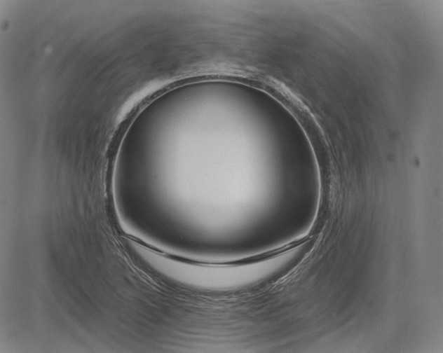 X0000083021222200702161608