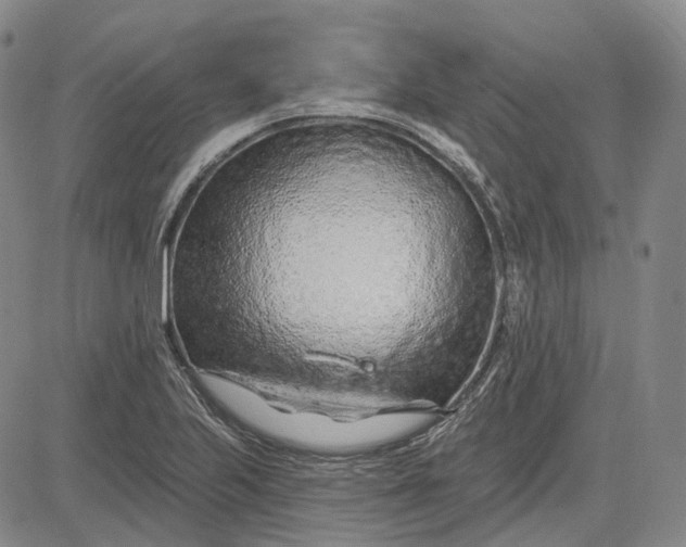 X0000083021223200702161608