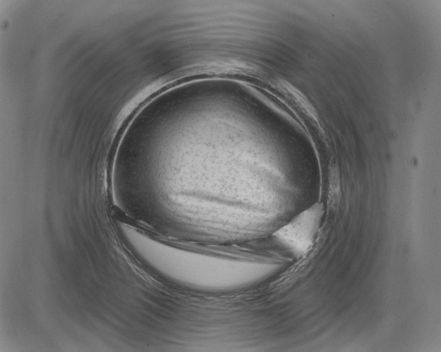 X0000083021226200702161608