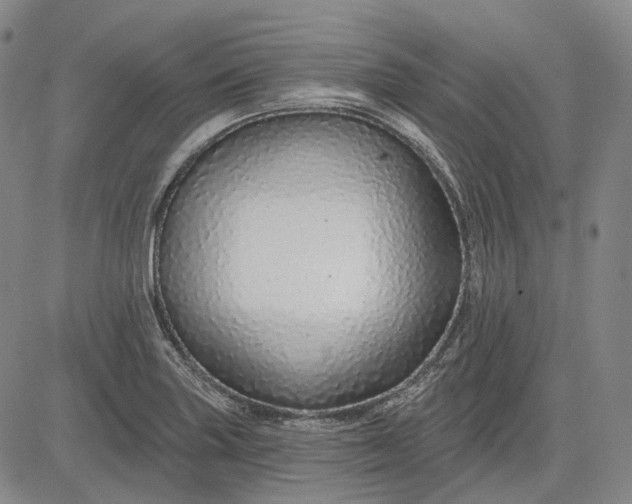 X0000083021227200702161608