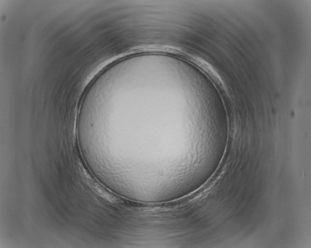 X0000083021228200702161608