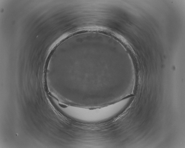 X0000083021229200702161608