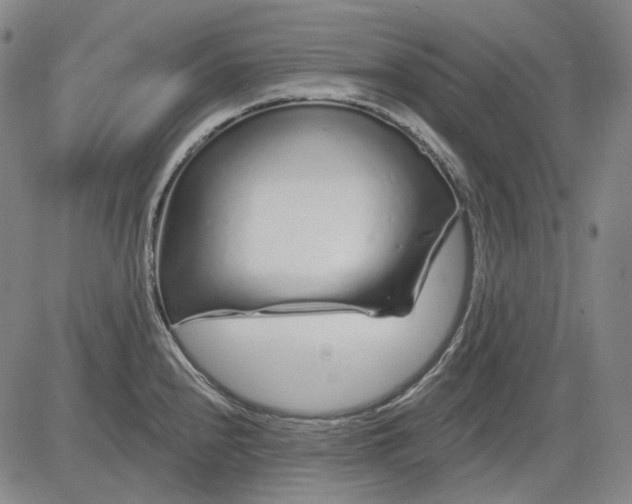 X0000083021240200702161608