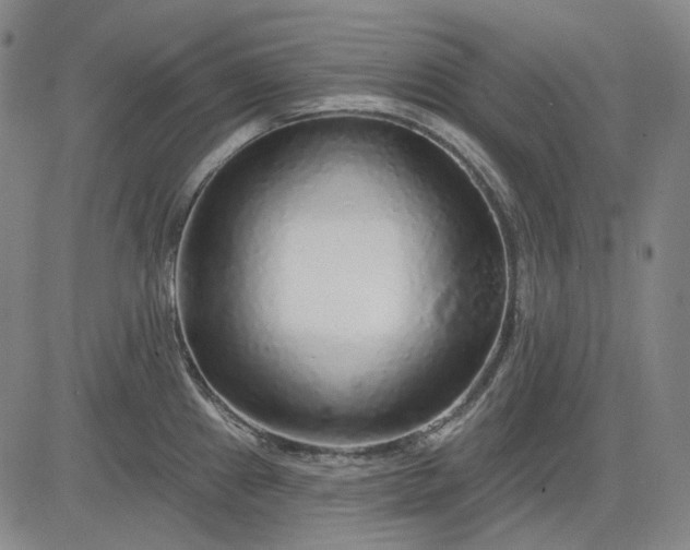X0000083021241200702161608